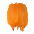 Wholesale Hot-Selling Gorgeous Natural Feather for Decorations